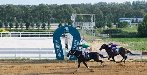 国产无马,引领绿色出行新潮流